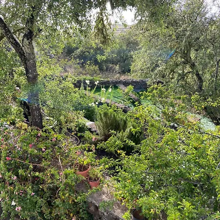 Tio Antonio Las Rosas (El Hierro)