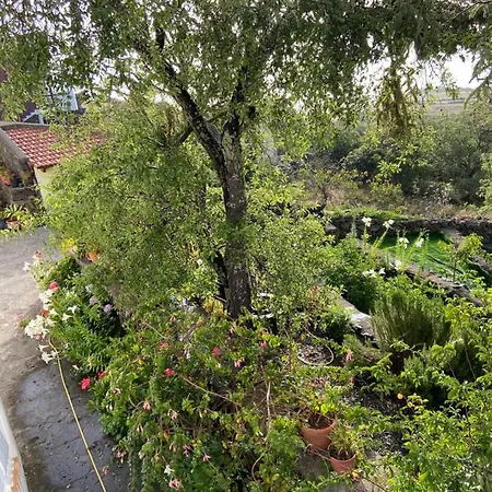 Tio Antonio Las Rosas (El Hierro)